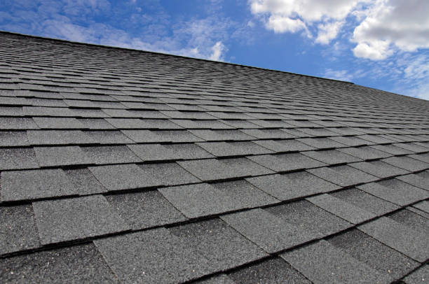 Best Roof Maintenance and Cleaning  in Calhoun Falls, SC